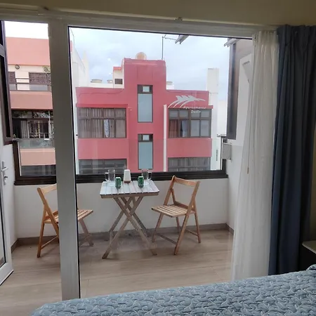 Delfin Las Palmas de Gran Canaria